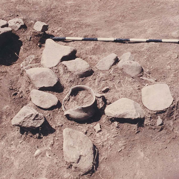 amidzin konak u kragujevcu, milosev venac, zavod za zastitu spomenika kulture kragujevac